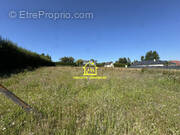 Terrain à LE TILLEUL