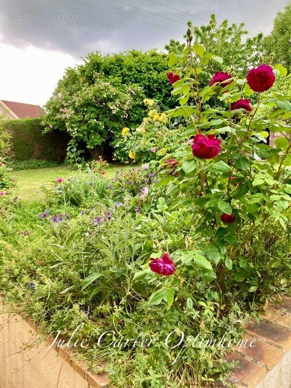 Maison à SABLE-SUR-SARTHE