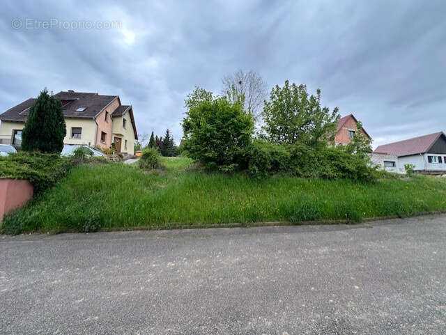 Terrain à BISCHOFFSHEIM