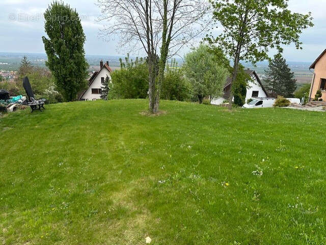 Terrain à BISCHOFFSHEIM