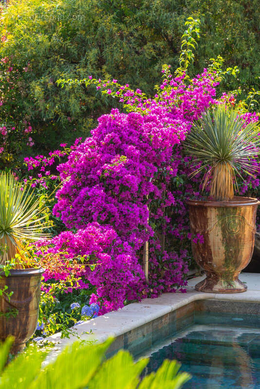 Maison à SAINTE-MAXIME