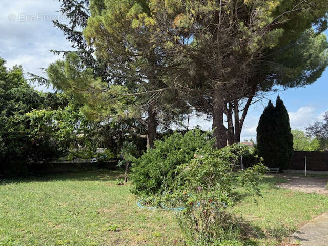 Maison à CARCASSONNE