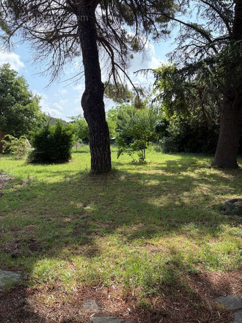 Maison à CARCASSONNE