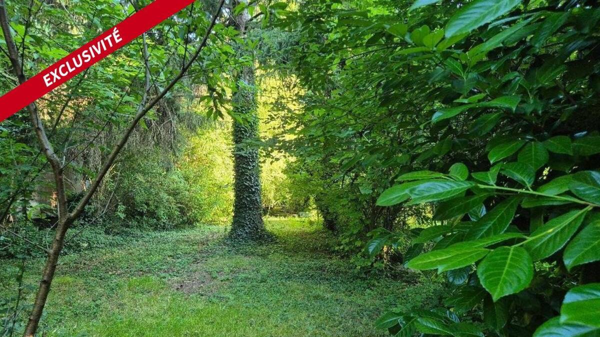 Terrain à MESSIMY-SUR-SAONE