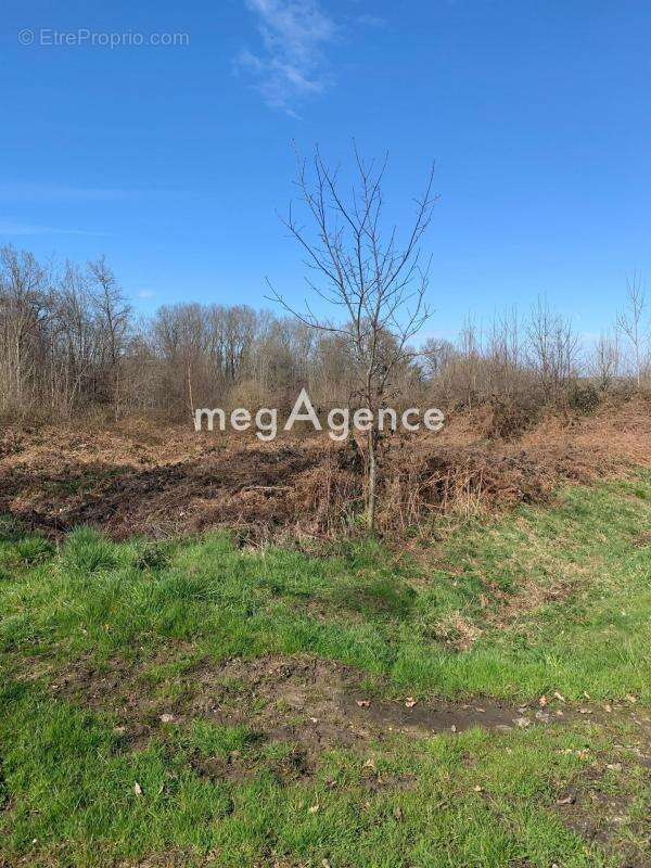 Terrain à BAUGE