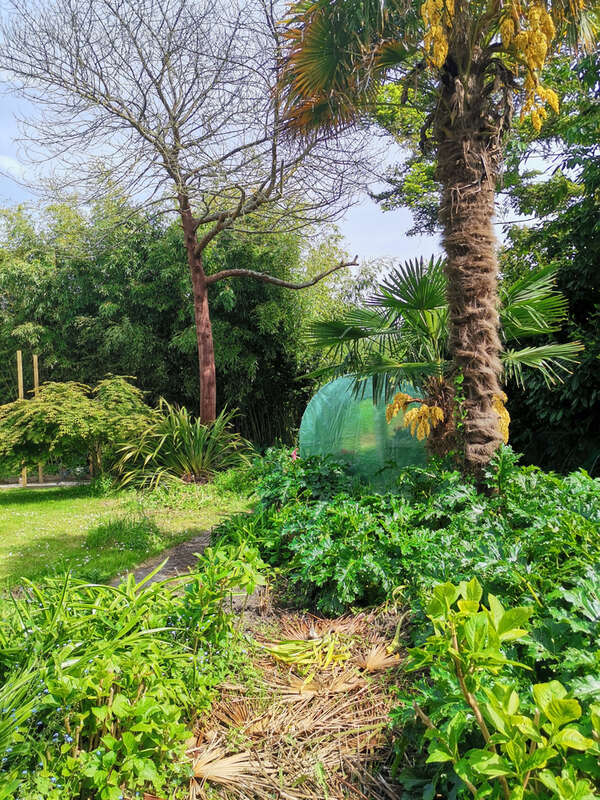 Maison à CLOHARS-CARNOET