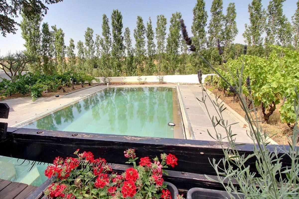 Maison à SAINT-ANDRE-DE-ROQUELONGUE