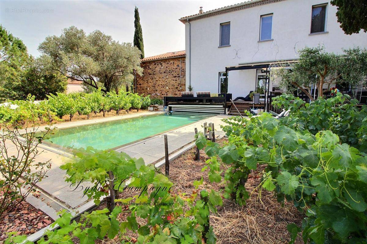 Maison à SAINT-ANDRE-DE-ROQUELONGUE