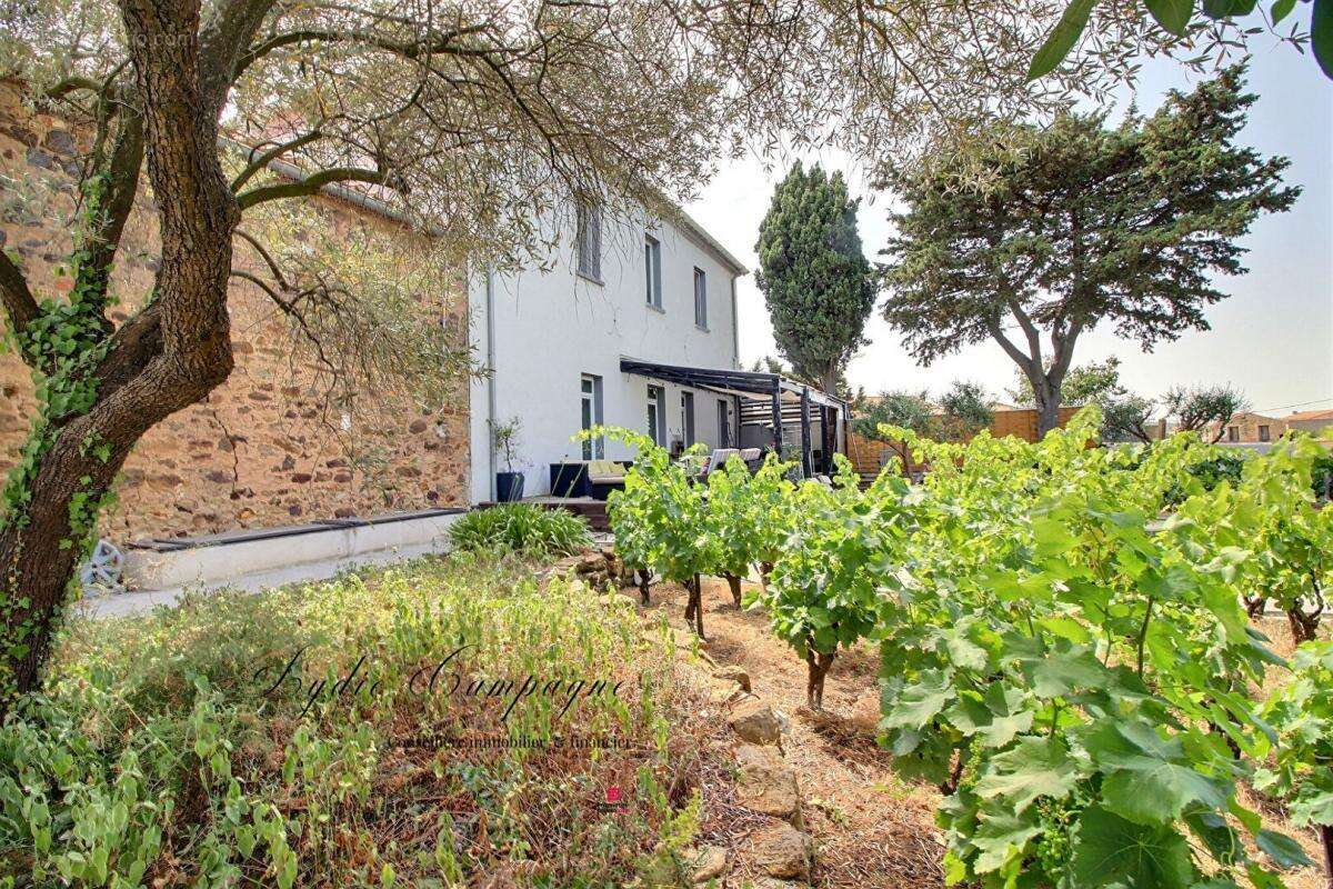 Maison à SAINT-ANDRE-DE-ROQUELONGUE