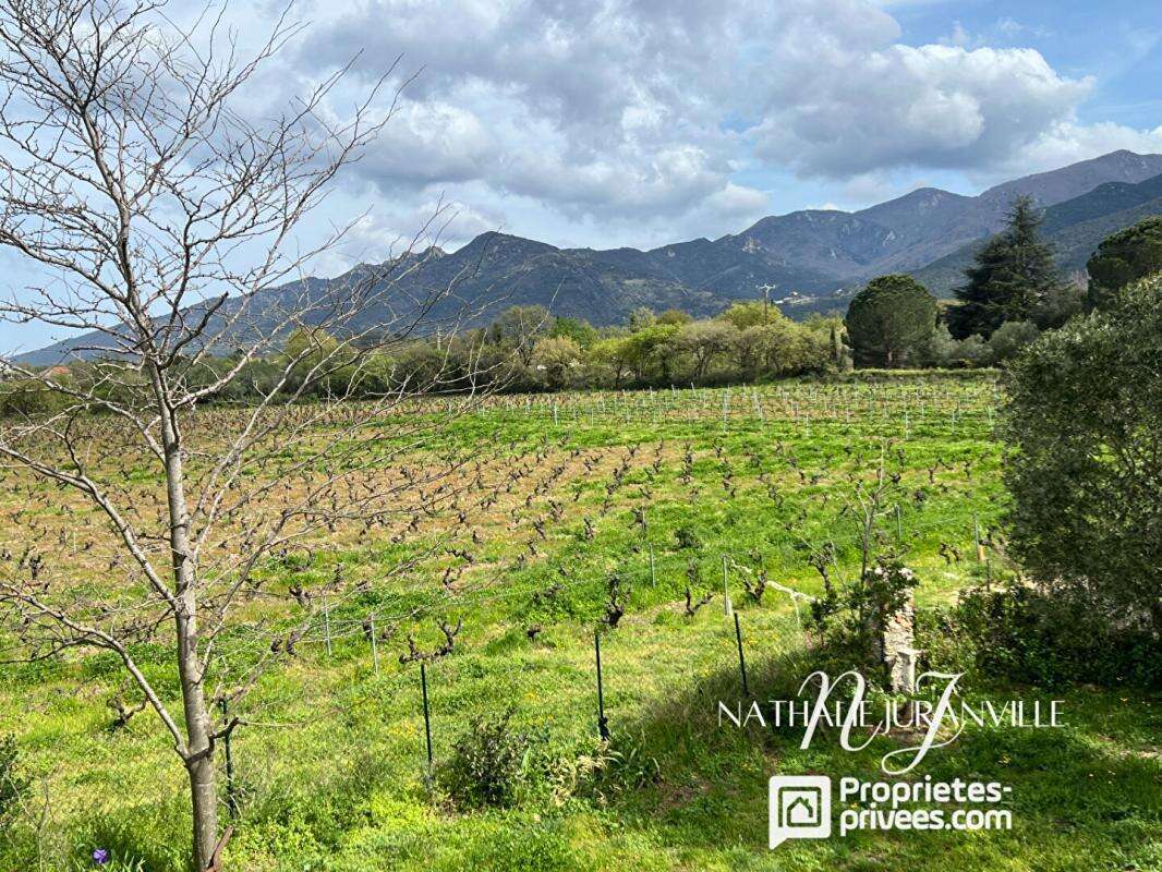 Maison à LAROQUE-DES-ALBERES