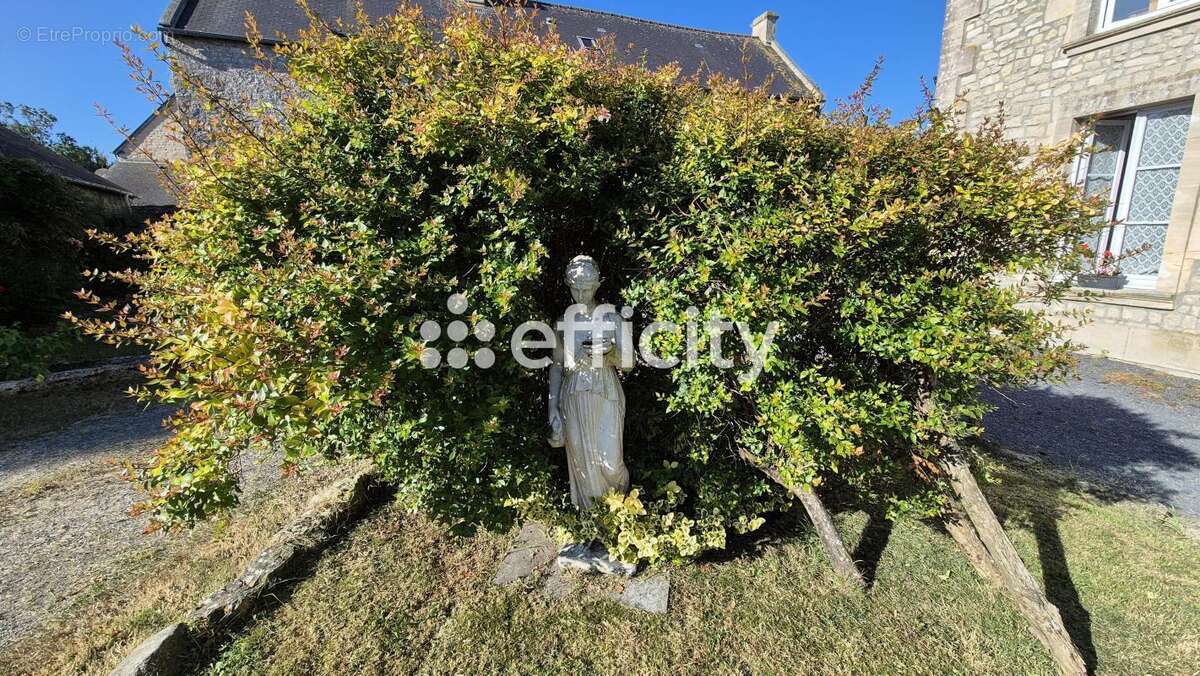 Maison à SAINT-PIERRE-DU-MONT