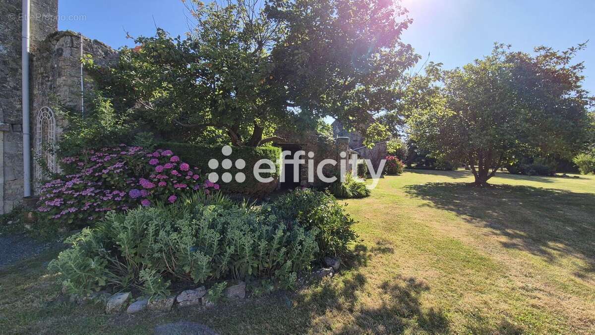 Maison à SAINT-PIERRE-DU-MONT