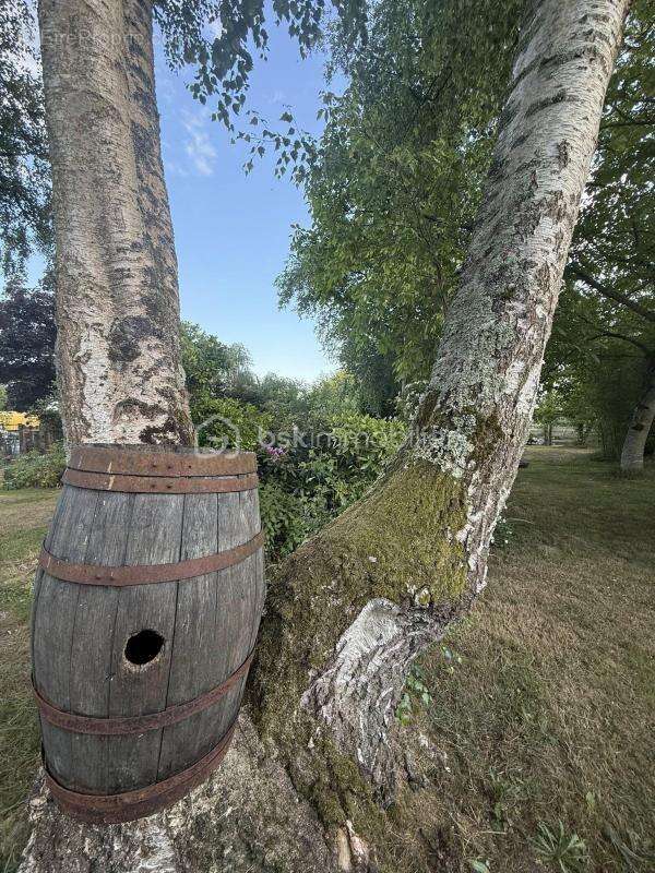 Maison à MAGNY-LE-DESERT