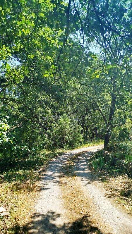 Maison à DRAGUIGNAN