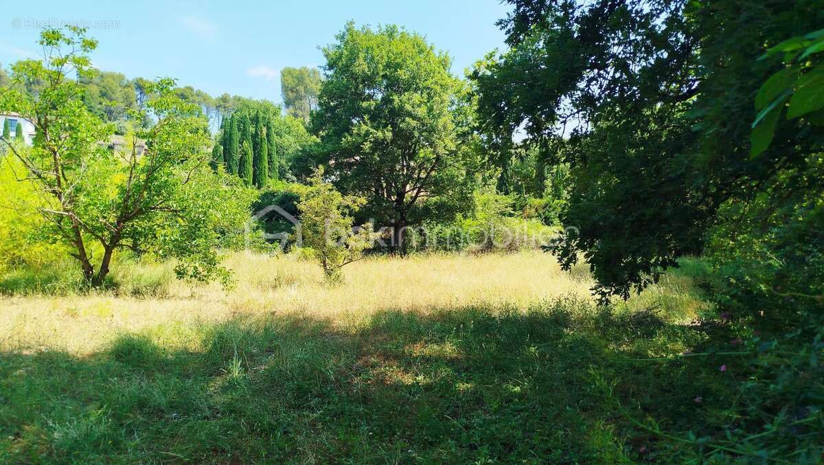 Maison à DRAGUIGNAN