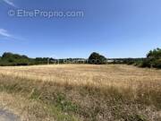 Terrain à JUMILHAC-LE-GRAND