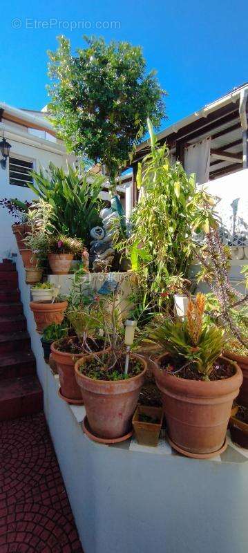 Maison à LA POSSESSION