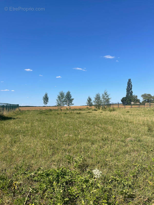 Terrain à LA VILLENEUVE-EN-CHEVRIE