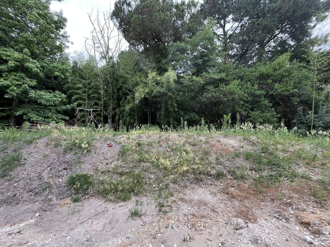 Appartement à LE TAILLAN-MEDOC