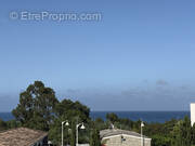 Appartement à SARI-SOLENZARA