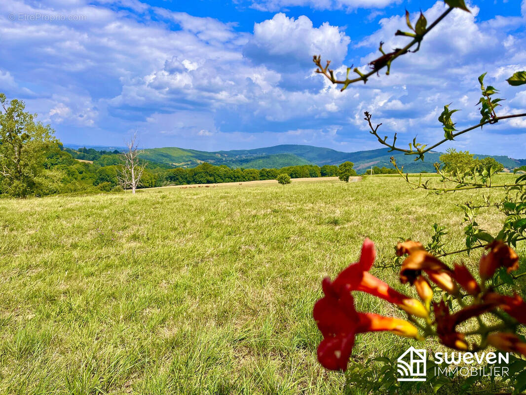 TERRAIN CONSTRUCTIBLE COUSERANS - Terrain à LASSERRE