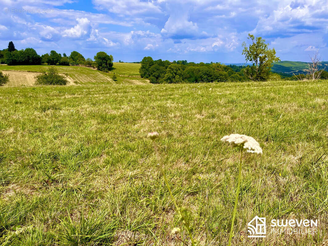 Terrain à LASSERRE