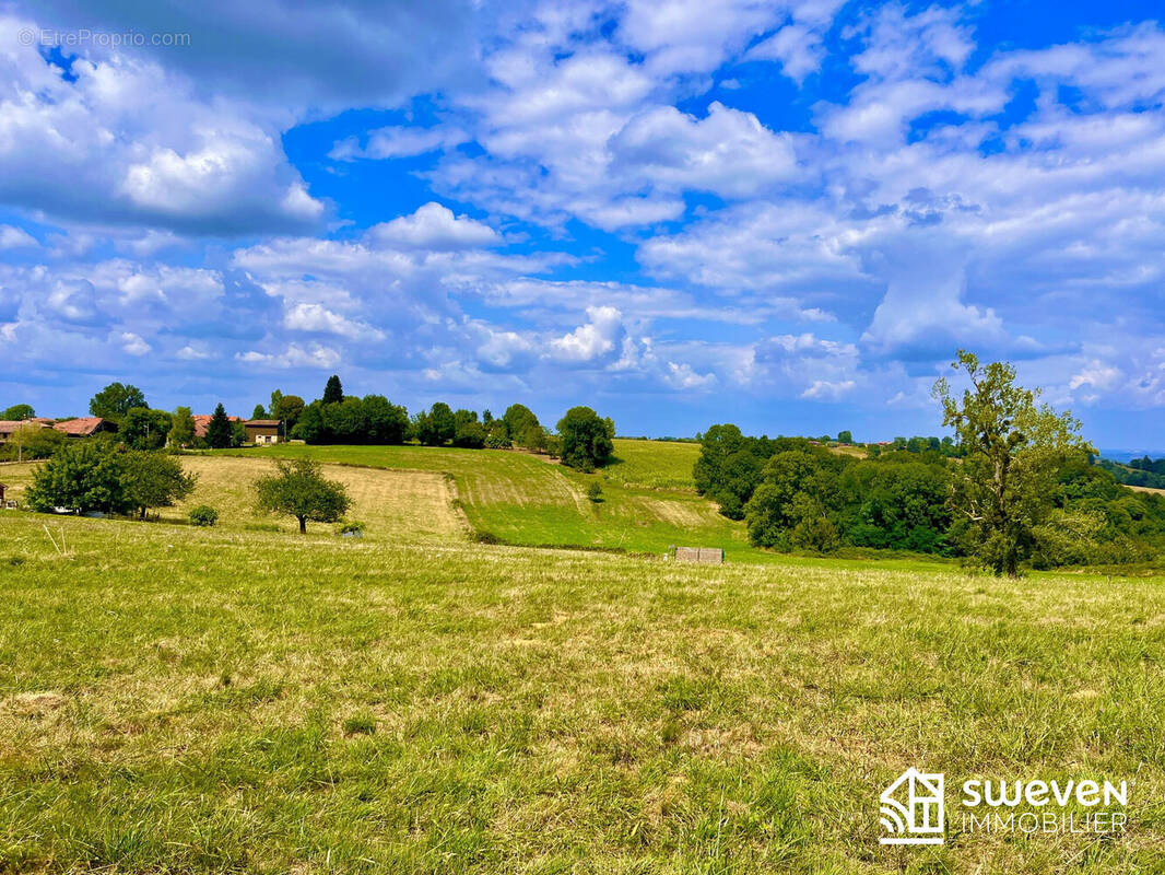 VOLVESTRE   - Terrain à LASSERRE