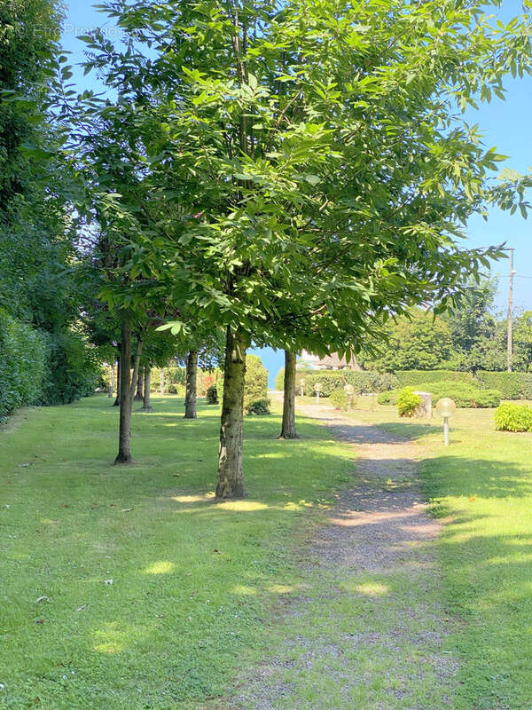 Appartement à TROUVILLE-SUR-MER