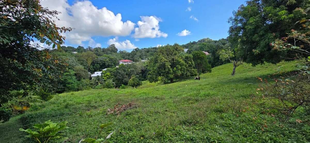 Terrain à LE ROBERT