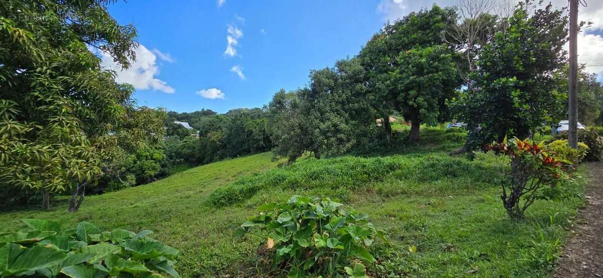 Terrain à LE ROBERT