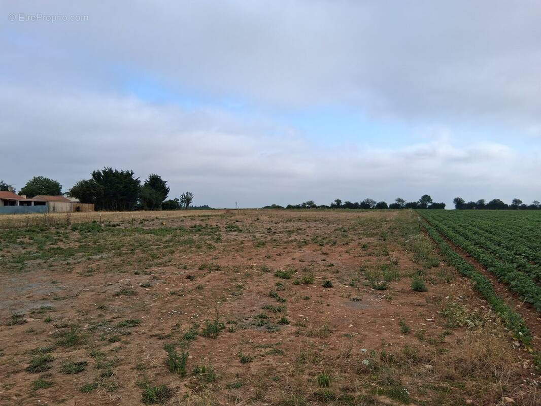 Terrain à SAINTE-HERMINE