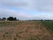 Terrain à SAINTE-HERMINE