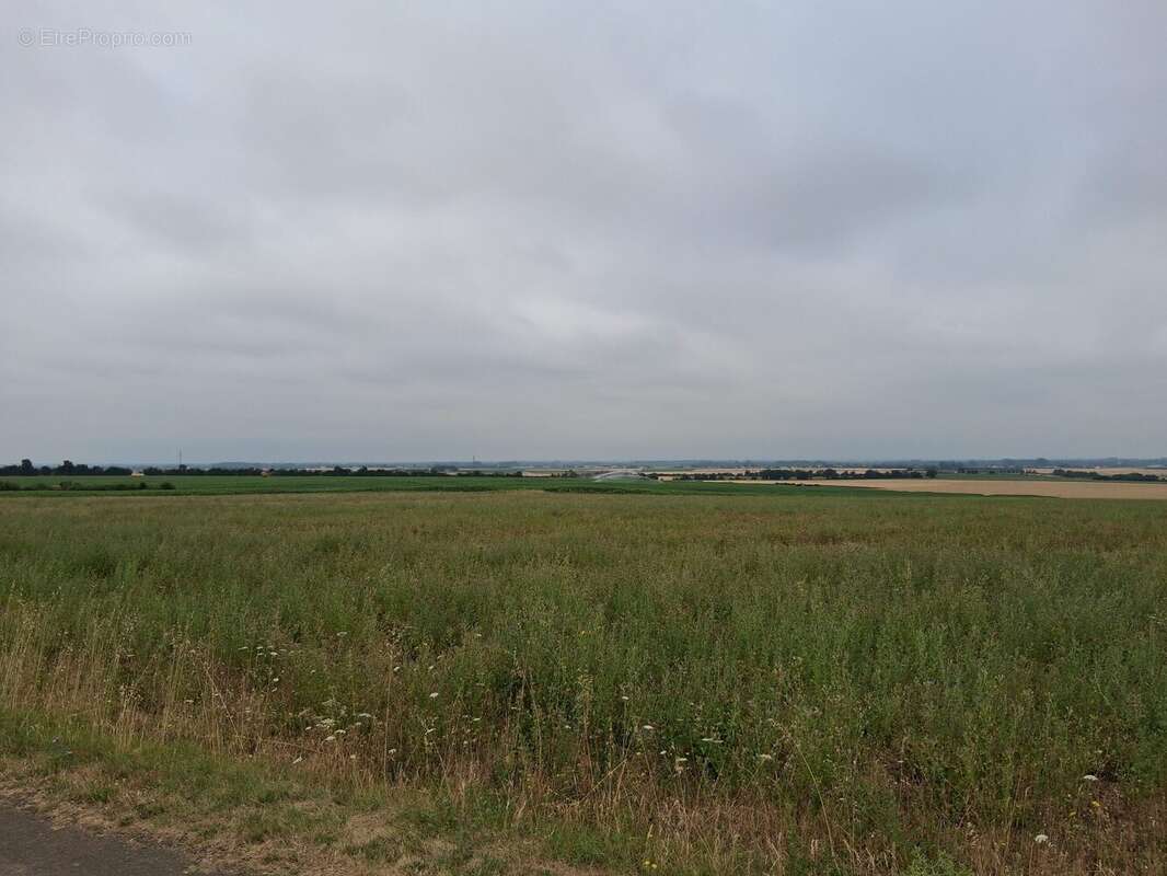 Vue campagne - Terrain à SAINTE-HERMINE