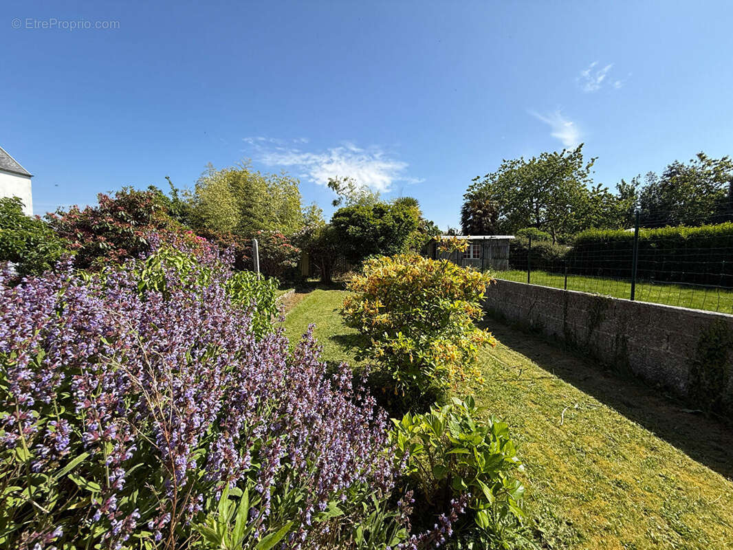 Maison à SAINT-MARTIN-DES-CHAMPS