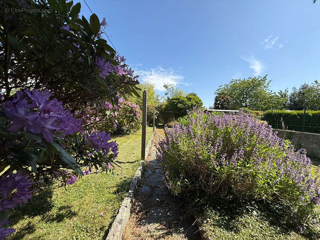 Maison à SAINT-MARTIN-DES-CHAMPS