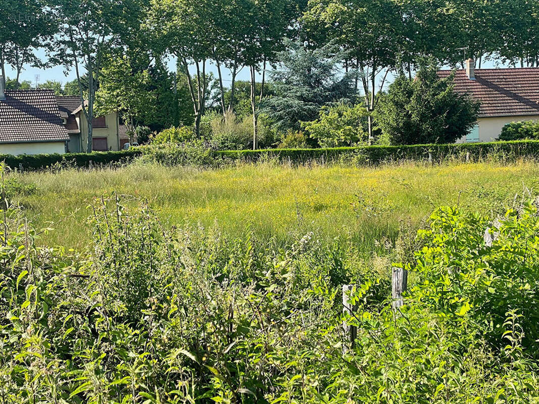 Terrain à SAINT-GERMAIN-DU-BOIS