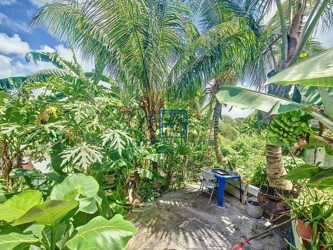 Maison à LES ABYMES