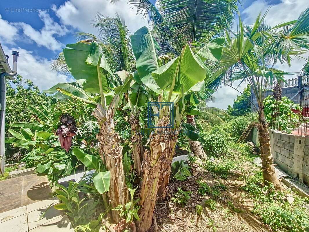 Maison à LES ABYMES