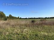 Terrain à ANGLIERS