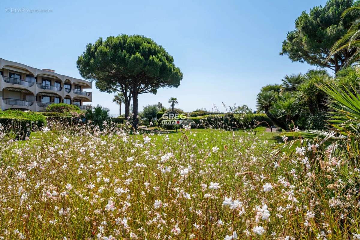 Appartement à VILLENEUVE-LOUBET
