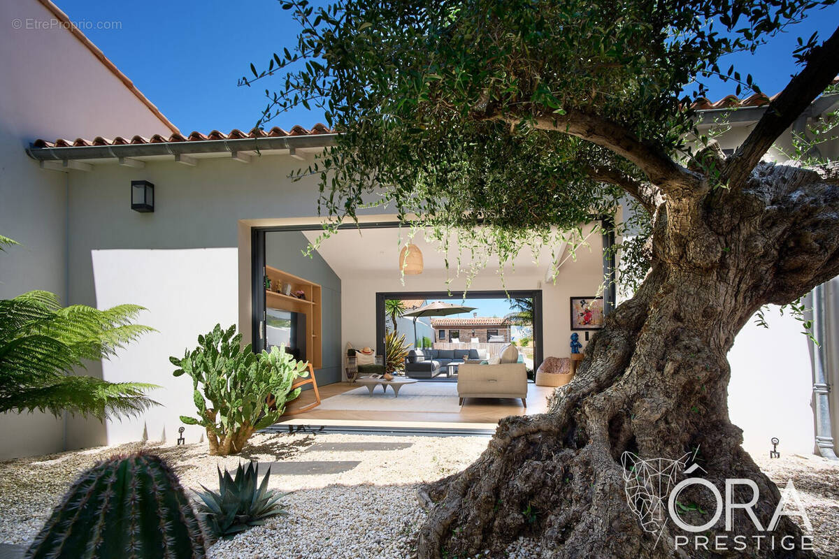 Maison à RIVEDOUX-PLAGE