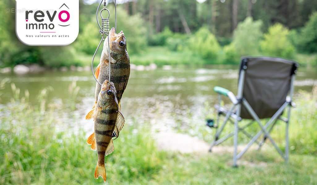 Terrain à NORT-SUR-ERDRE