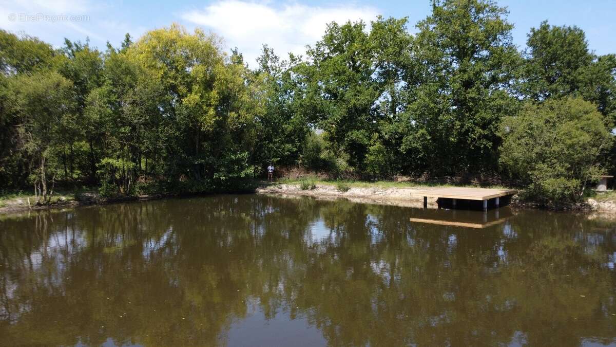 Terrain à NORT-SUR-ERDRE