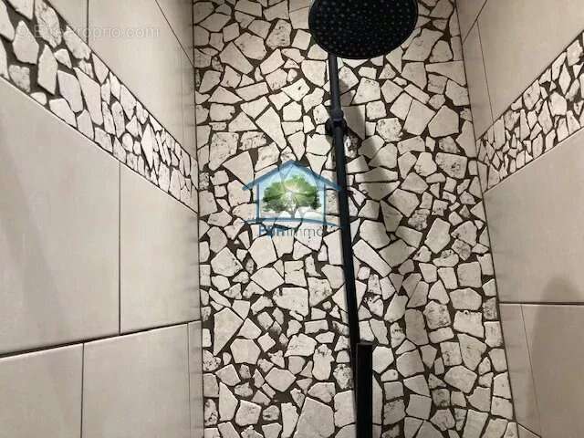 Maison à ROCHE-LA-MOLIERE