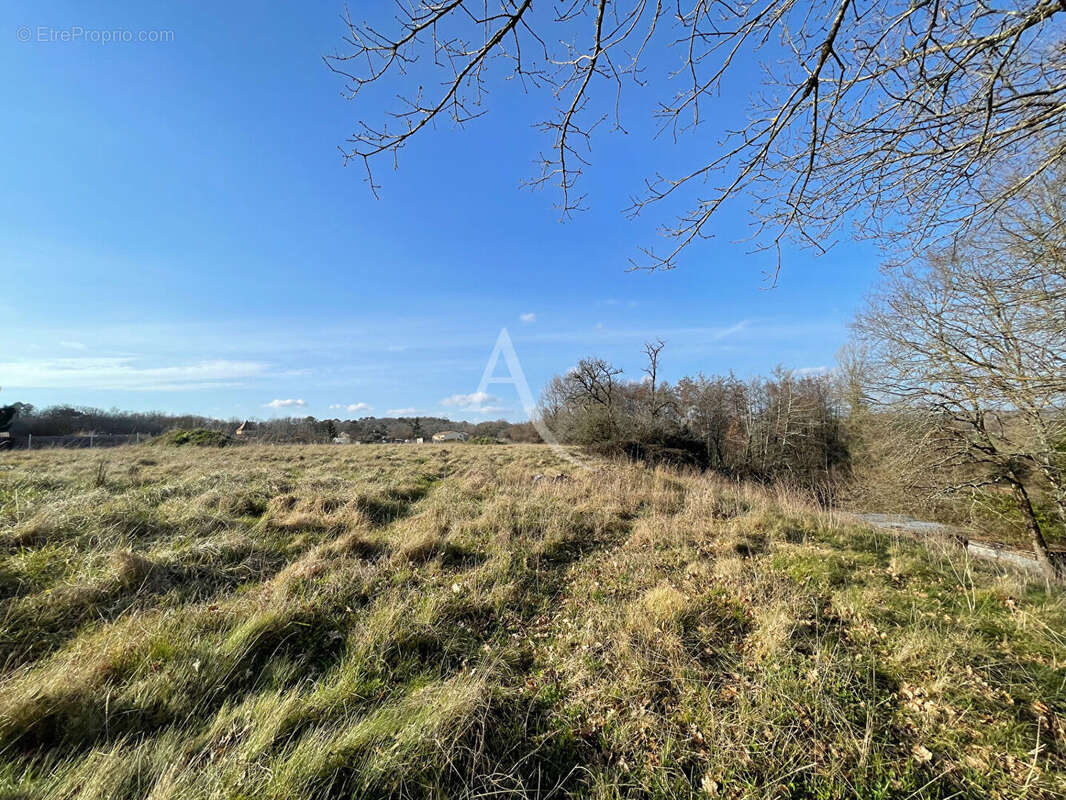 Terrain à MONSEMPRON-LIBOS