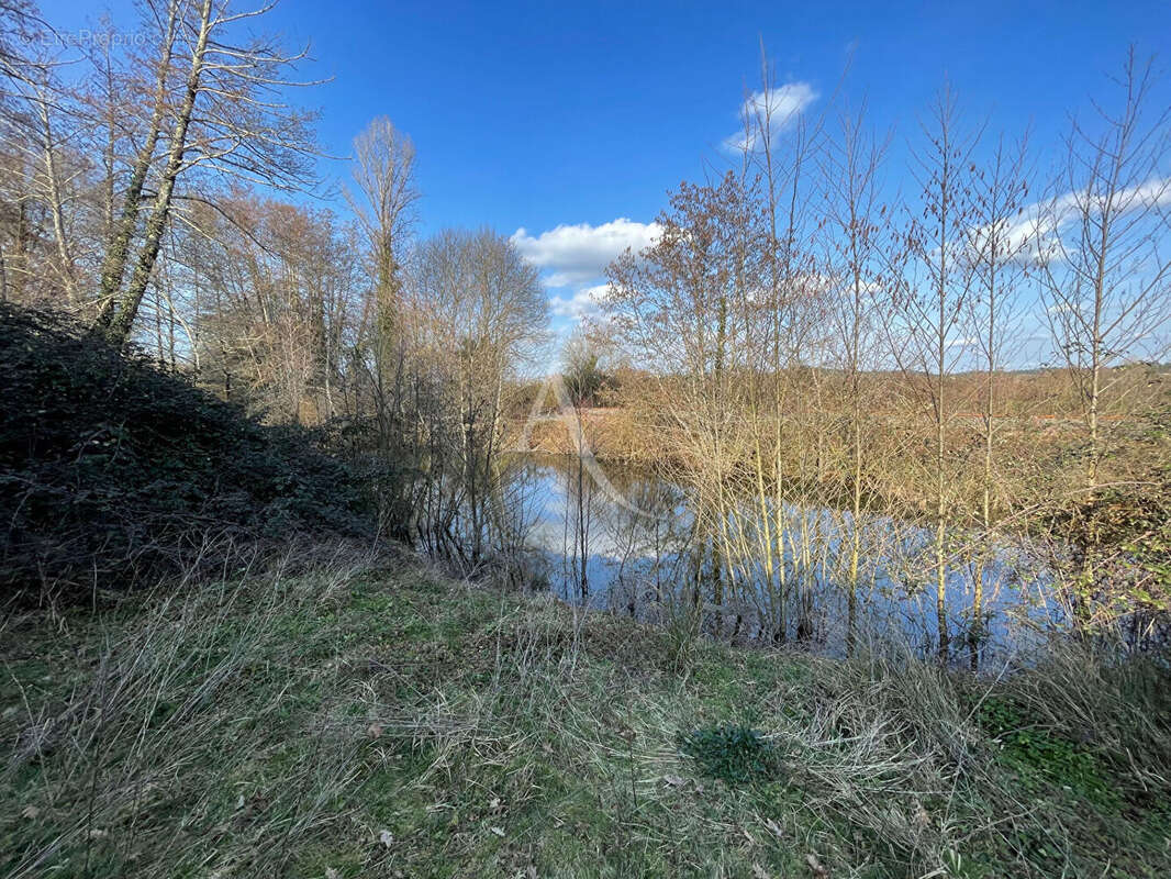 Terrain à MONSEMPRON-LIBOS