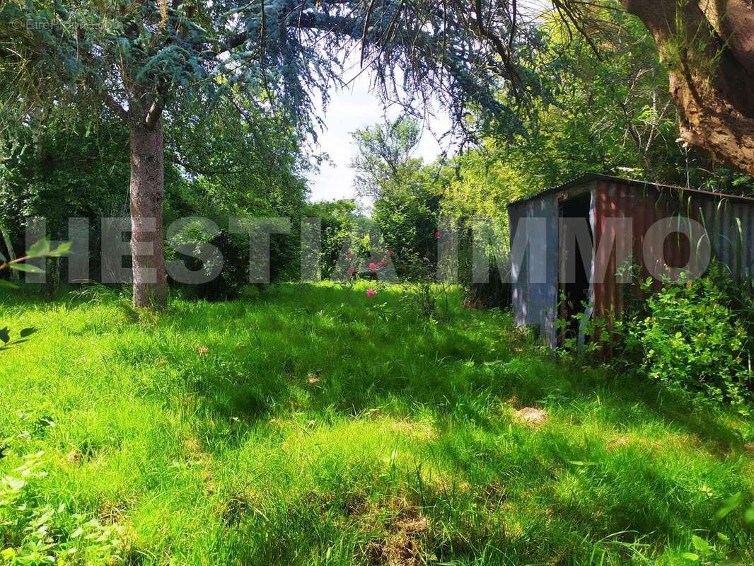 _copie-0_IMG_20250522_165011 - Maison à CASSON