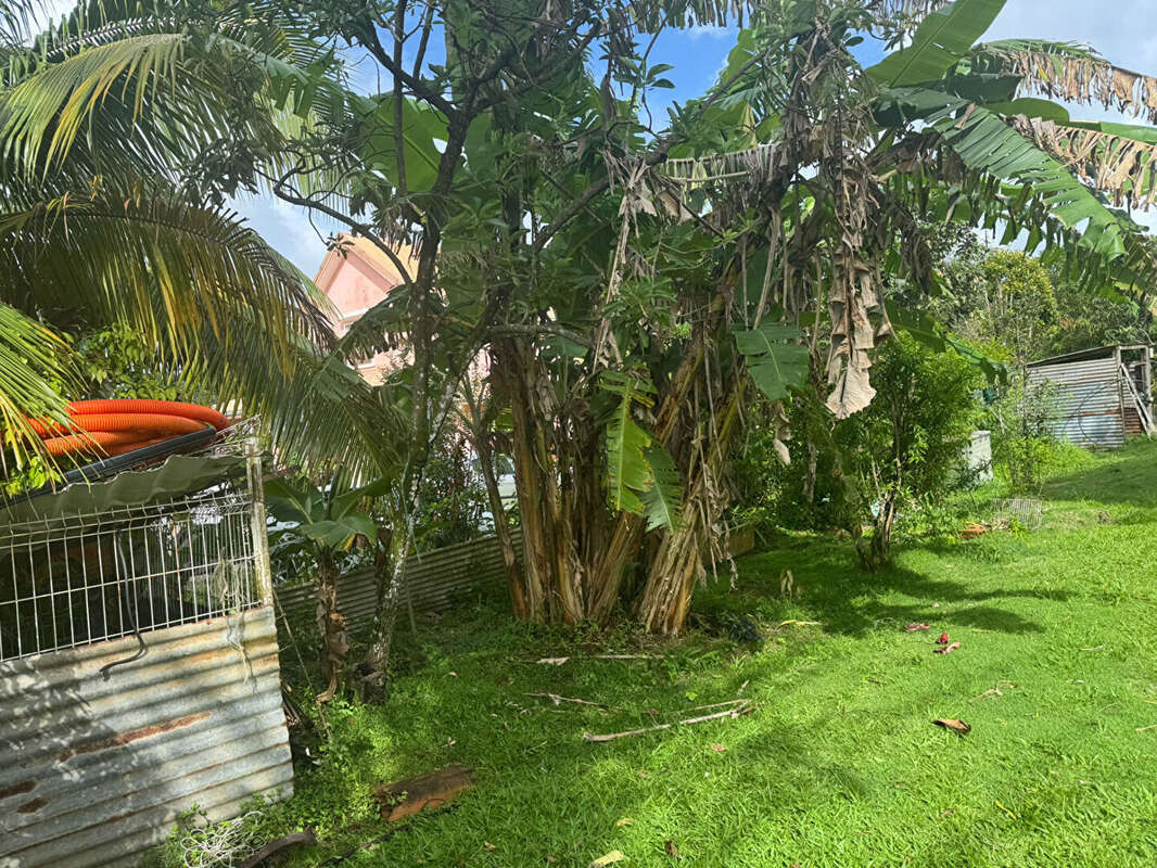 Terrain à LE LAMENTIN