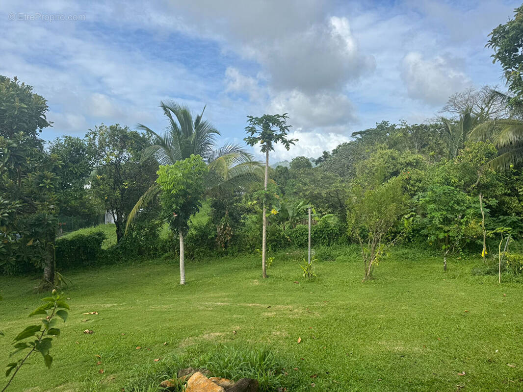 Terrain à LE LAMENTIN