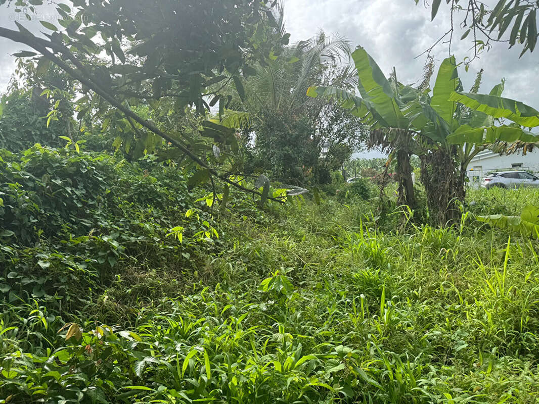 Terrain à LE LAMENTIN